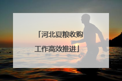 河北夏粮收购工作高效推进