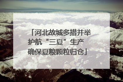 河北故城多措并举护航“三夏”生产 确保夏粮颗粒归仓