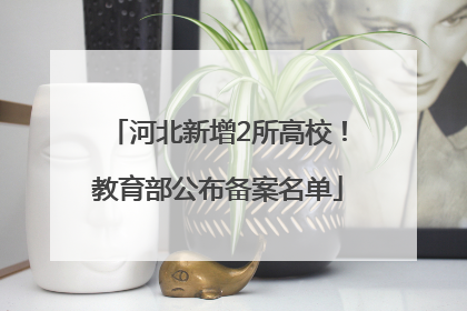 河北新增2所高校！教育部公布备案名单