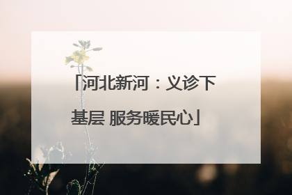河北新河：义诊下基层 服务暖民心