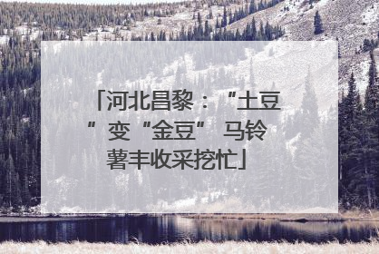 河北昌黎：“土豆”变“金豆” 马铃薯丰收采挖忙