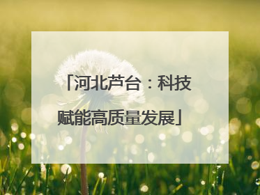 河北芦台：科技赋能高质量发展