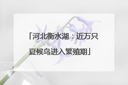 河北衡水湖：近万只夏候鸟进入繁殖期