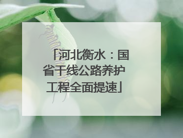 河北衡水：国省干线公路养护工程全面提速