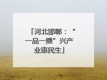 河北邯郸：“一品一播”兴产业惠民生