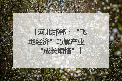 河北邯郸：“飞地经济”巧解产业“成长烦恼”