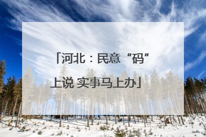 河北：民意“码”上说 实事马上办
