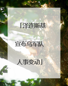泽连斯基宣布乌军队人事变动
