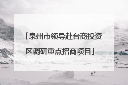 泉州市领导赴台商投资区调研重点招商项目