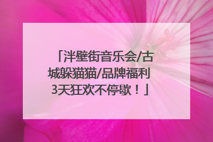 泮壁街音乐会/古城躲猫猫/品牌福利3天狂欢不停歇！