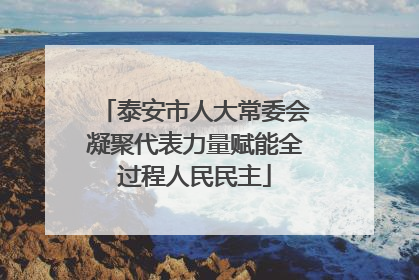泰安市人大常委会凝聚代表力量赋能全过程人民民主