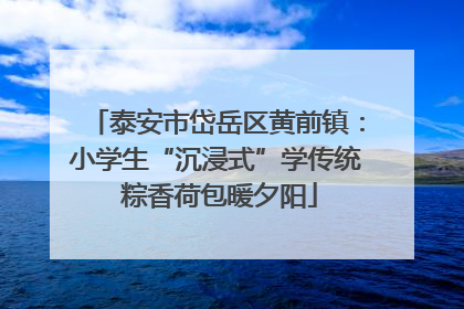 泰安市岱岳区黄前镇：小学生“沉浸式”学传统 粽香荷包暖夕阳