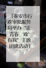 泰安市行政审批服务局举办“正青春‘政’有我”主题团建活动