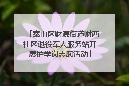 泰山区财源街道财西社区退役军人服务站开展护学岗志愿活动