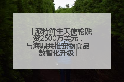 派特鲜生天使轮融资2500万美元，与海鼎共推宠物食品数智化升级