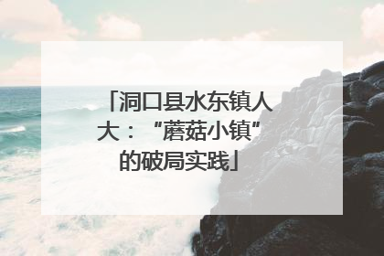 洞口县水东镇人大：“蘑菇小镇”的破局实践