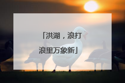 洪湖，浪打浪里万象新