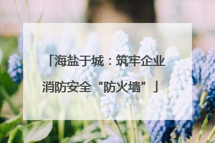 海盐于城：筑牢企业消防安全“防火墙”