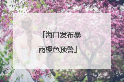 海口发布暴雨橙色预警