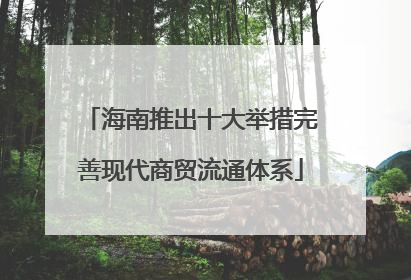 海南推出十大举措完善现代商贸流通体系