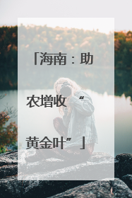 海南：助农增收 “黄金叶”