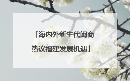 海内外新生代闽商热议福建发展机遇