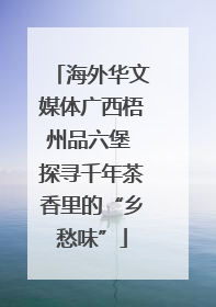 海外华文媒体广西梧州品六堡 探寻千年茶香里的“乡愁味”