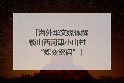 海外华文媒体解锁山西河津小山村“蝶变密码”