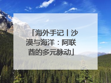 海外手记丨沙漠与海洋：阿联酋的多元脉动