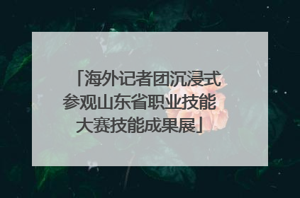 海外记者团沉浸式参观山东省职业技能大赛技能成果展