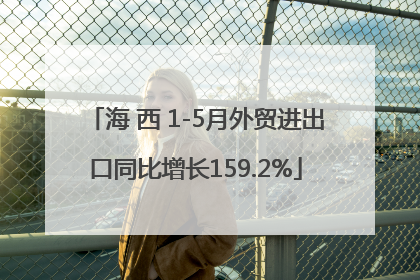 海 西 1-5月外贸进出口同比增长159.2%