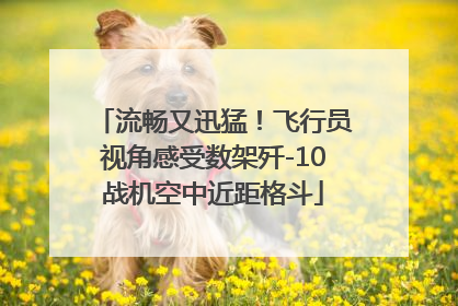 流畅又迅猛！飞行员视角感受数架歼-10战机空中近距格斗