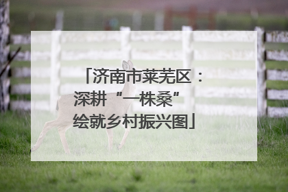 济南市莱芜区：深耕“一株桑” 绘就乡村振兴图