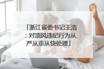 浙江省委书记王浩：对顶风违纪行为从严从重从快处理