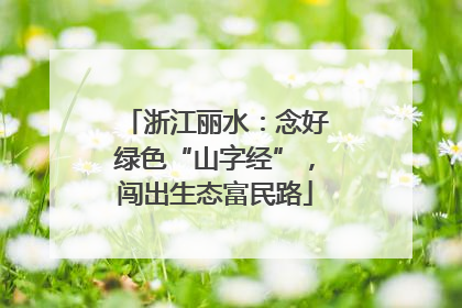 浙江丽水：念好绿色“山字经”，闯出生态富民路