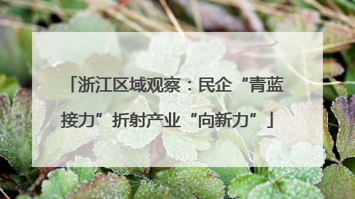 浙江区域观察：民企“青蓝接力”折射产业“向新力”