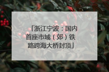 浙江宁波：国内首座市域（郊）铁路跨海大桥封顶