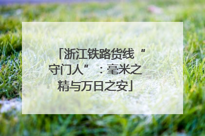 浙江铁路货线“守门人”：毫米之精与万日之安