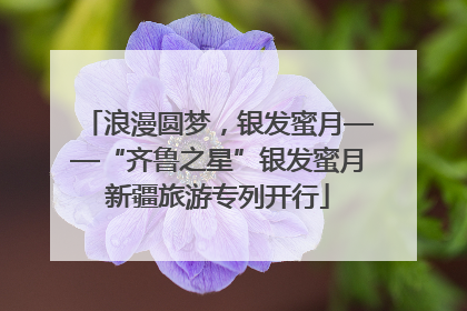 浪漫圆梦，银发蜜月——“齐鲁之星”银发蜜月新疆旅游专列开行