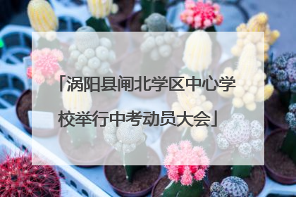 涡阳县闸北学区中心学校举行中考动员大会