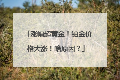 涨幅超黄金！铂金价格大涨！啥原因？