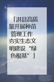 淇县高质量开展种苗管理工作 夯实生态文明建设“绿色根基”