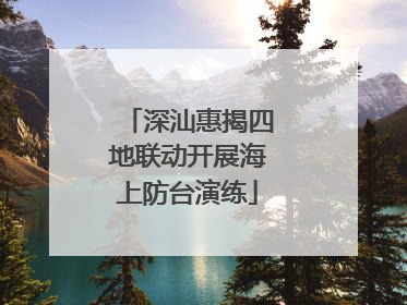 深汕惠揭四地联动开展海上防台演练