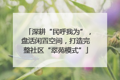 深耕“民呼我为”，盘活闲置空间，打造完整社区“翠苑模式”