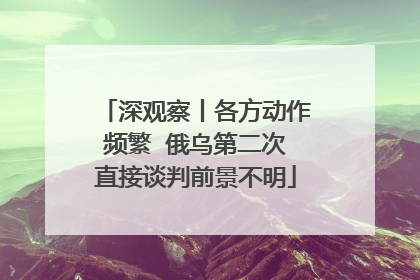 深观察丨各方动作频繁  俄乌第二次直接谈判前景不明