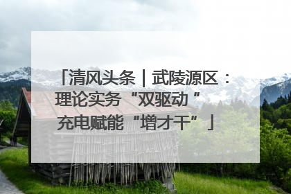 清风头条｜武陵源区：理论实务“双驱动 ” 充电赋能“增才干”