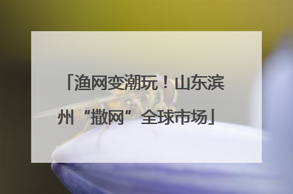 渔网变潮玩！山东滨州“撒网”全球市场