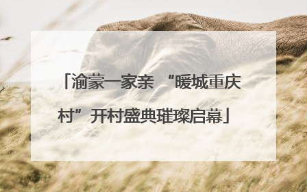 渝蒙一家亲 “暖城重庆村”开村盛典璀璨启幕