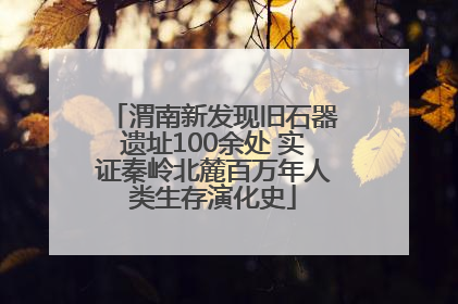 渭南新发现旧石器遗址100余处 实证秦岭北麓百万年人类生存演化史