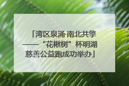湾区泉涌·南北共擎——“花楸树”杯明湖慈善公益跑成功举办